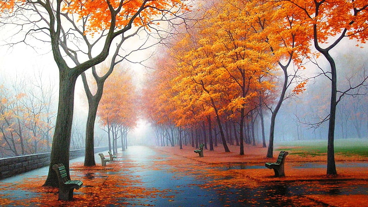 Amazing winter Wallpaper, tree, autumn, change, plant, orange color, HD wallpaper