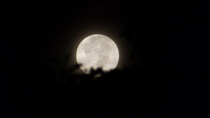 Moon, night, HD wallpaper