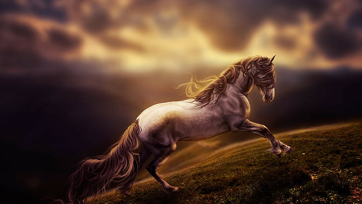 HD wallpaper: brown and white horse 3D illustration, clouds, sky, gray,  landscape | Wallpaper Flare