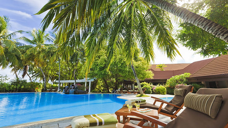 Maldives, palm trees, resort, sun loungers, pool, blue swimming pool