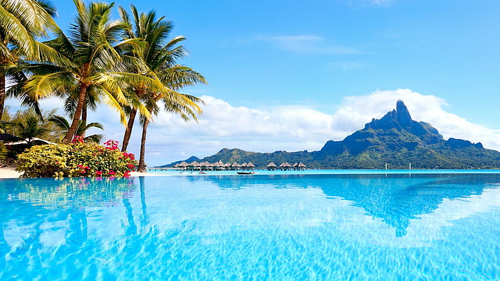 nature, tropics, water, sky, caribbean, sea, palm tree, resort town, HD wallpaper