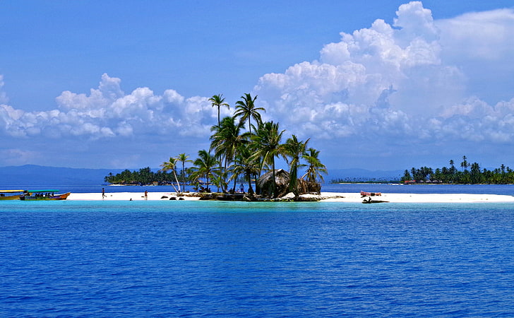San Blas Islands, green coconut palm tree lot, Travel, palm trees