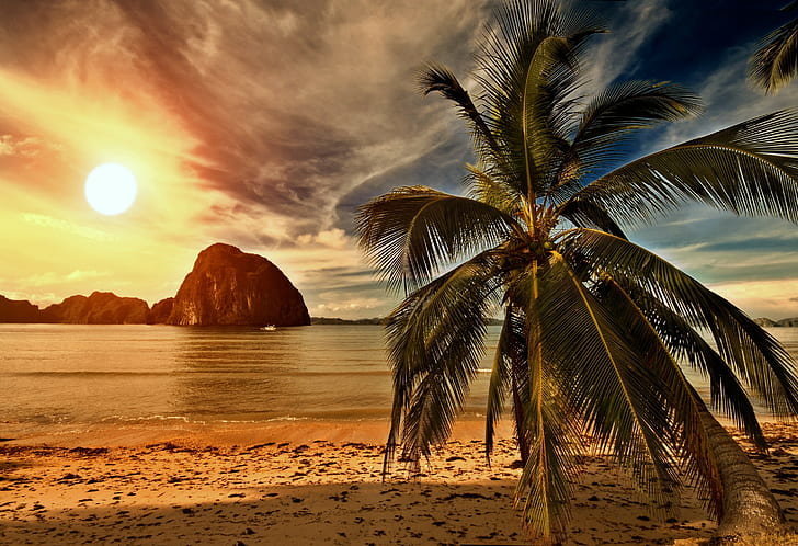 Tropical paradise,palm on beach, palms, Sea, Ocean, Sunset, hd backgrounds, HD wallpaper