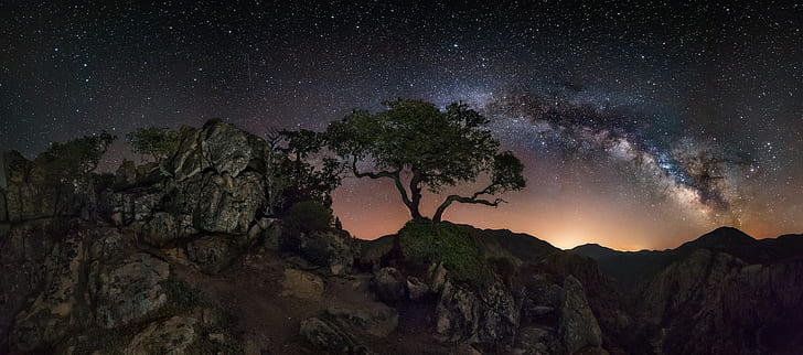 nature, landscape, mountains, trees, starry night, Milky Way