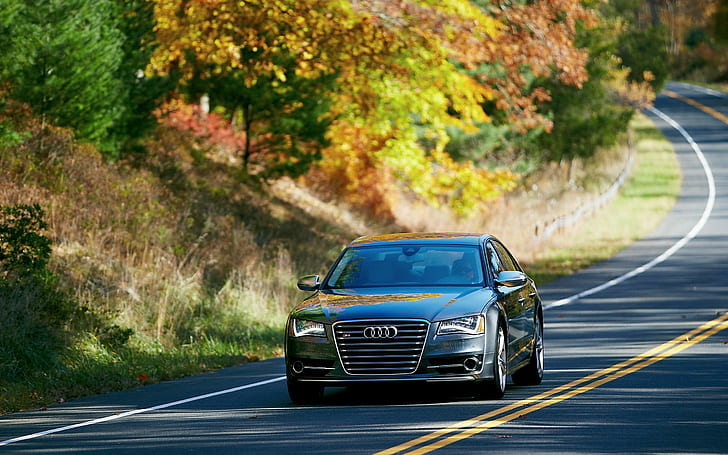 Audi, S8, Car, Sedan, black audi car, cars, front, road, trees, HD wallpaper
