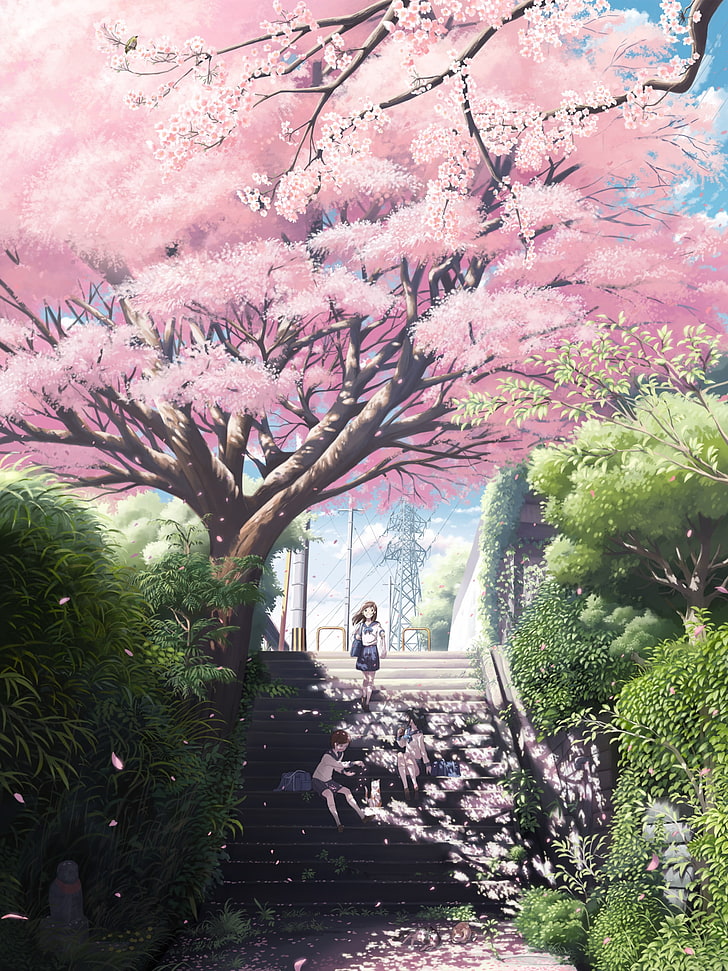 cherry blossom illustration, original characters, cherry trees, HD wallpaper