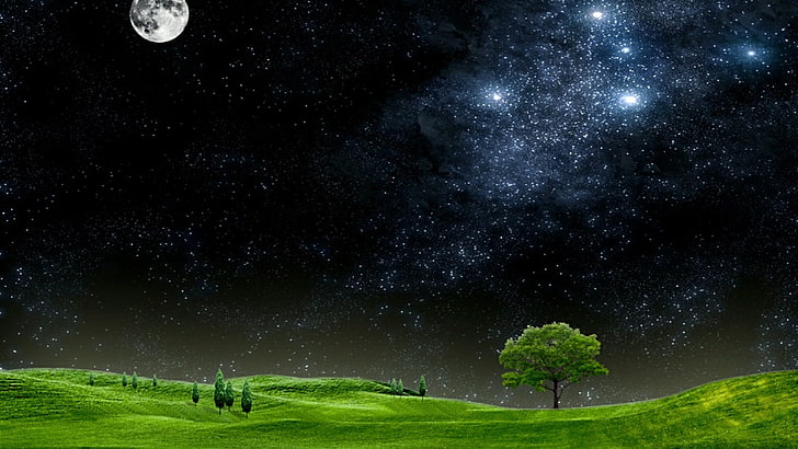 astronomical object, night sky, rolling hill, field, grass field, HD wallpaper