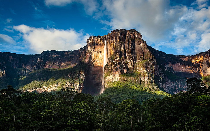 Waterfalls, Angel Falls, Earth, Forest, Rock, Venezuela, HD wallpaper