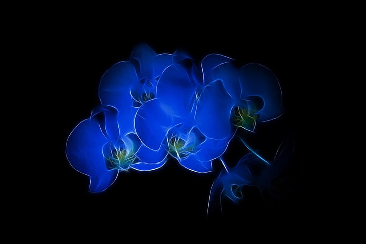 blue flowers, Fractalius, black background, motion, no people, HD wallpaper