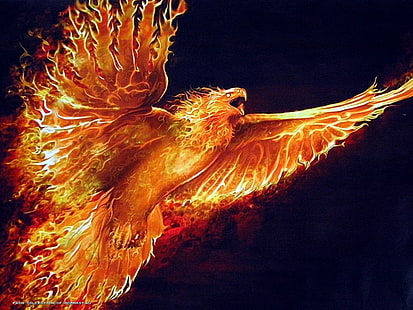 HD wallpaper: Fire Phoenix vs Ice Phoenix, 3d and abstract | Wallpaper ...
