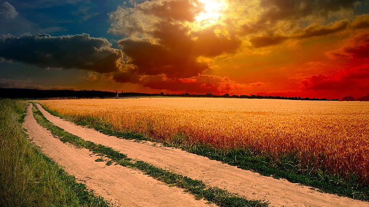 Village Road Field With Mature Wheat Horizon Sunset Sky With Dark Red Clouds Hd Wallpaper Free Download 3840×2160, HD wallpaper