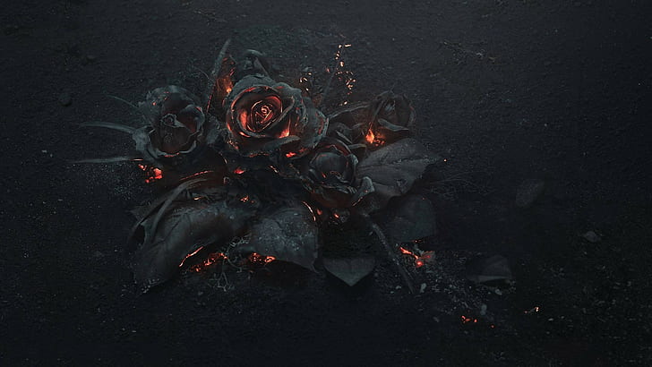 Rose flower Wallpaper 4K Fire Burning Dark Flowers 464