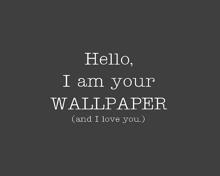 Funny wallpapers 1080P, 2K, 4K, 5K HD wallpapers free download, sort by  relevance | Wallpaper Flare