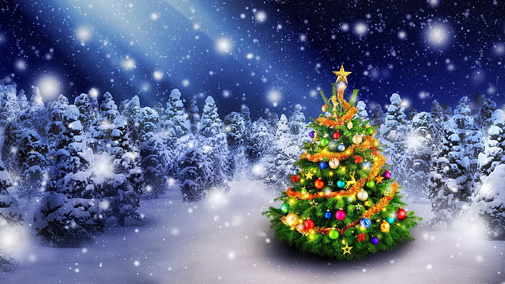 christmas tree, xmas, winter, pine, spruce, snowfall, snowy, HD wallpaper