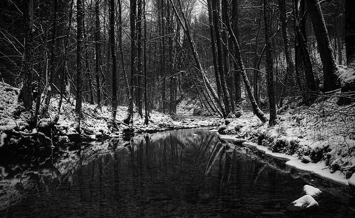 Black River, clear river between forest, Aero, Dark, Winter, black and white