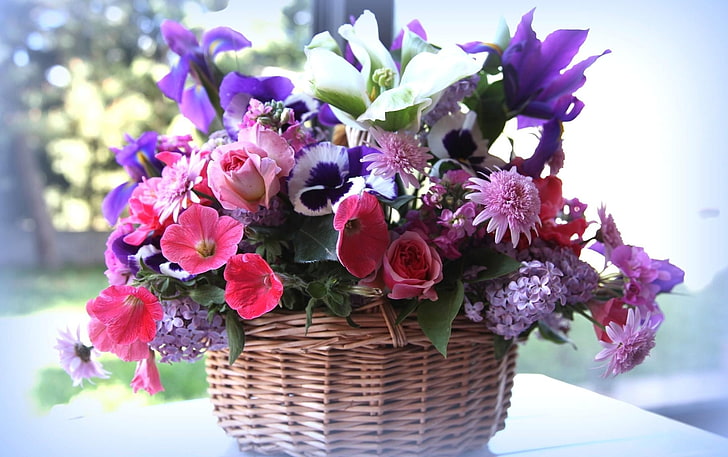 pink and purple petaled flowers, rose, petunia, lilac, much, different