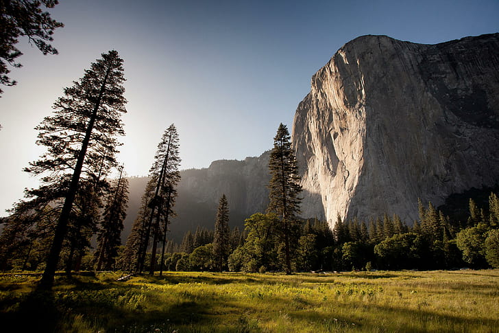 forest, landscape, grass, El Capitan, mountains, Yosemite National Park, HD wallpaper