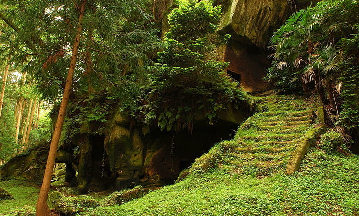 Old Caves In Jungle Forest, trees, nature, grass, greenery, rainforest, HD wallpaper
