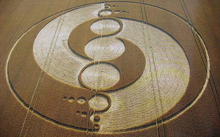 field, UFO, crop circles, want to believe, architecture, close-up, HD wallpaper
