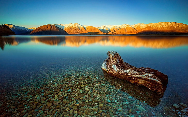 brown drywood, nature, landscape, lake, calm, mountains, water
