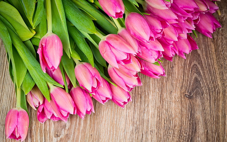 Bouquet flowers, pink tulips, wood board
