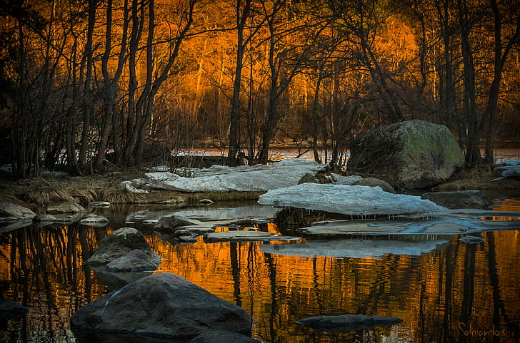 body of water near trees during dusk, Sunset, Langinkoski, nikon  d600, HD wallpaper