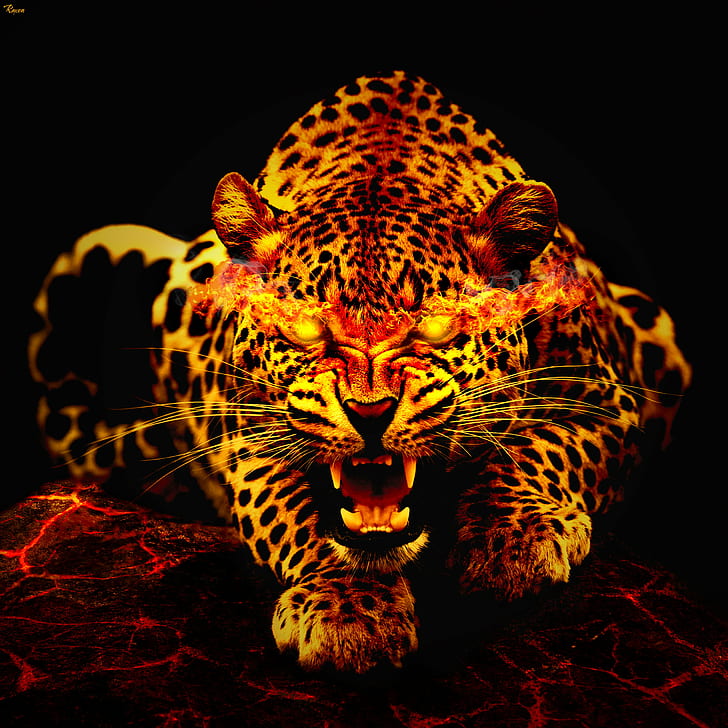 leopard photo, artwork, photoshop, cs6, manipulation, photomanipulation, HD wallpaper