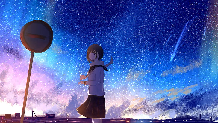 Download Animation Anime Girl Shooting Stars At Beach Wallpaper   Wallpaperscom