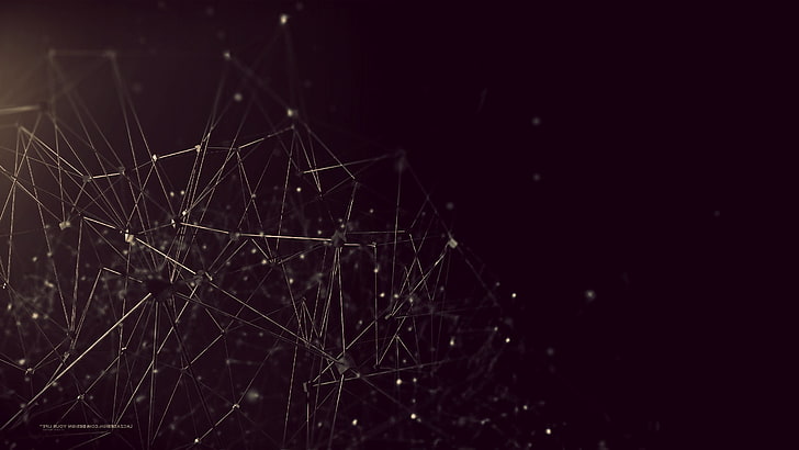 geometry, Lacza, night, fragility, no people, spider web, complexity, HD wallpaper