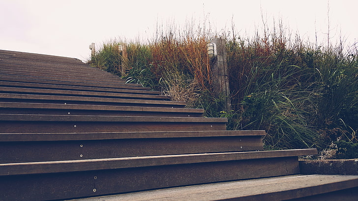 gray stairs, landscape, phone camera, plant, staircase, architecture