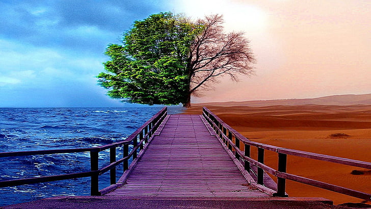 nature, sky, horizon, tree, water, desert, sea, shore, calm, HD wallpaper