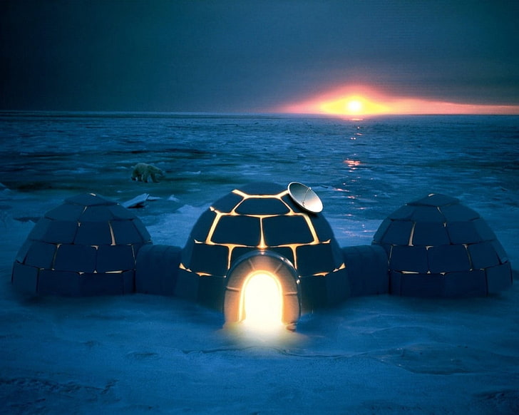 gray 3-panel iglo, igloo, dwelling, light, night, northern pole