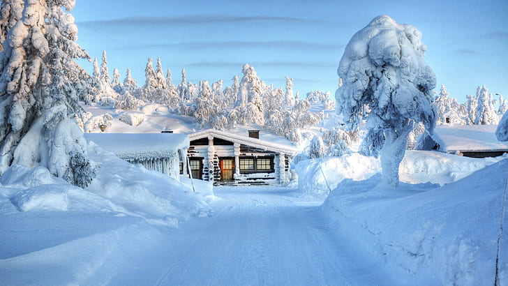 House Cabin Snow Trees Winter HD, black wooden window frame, nature