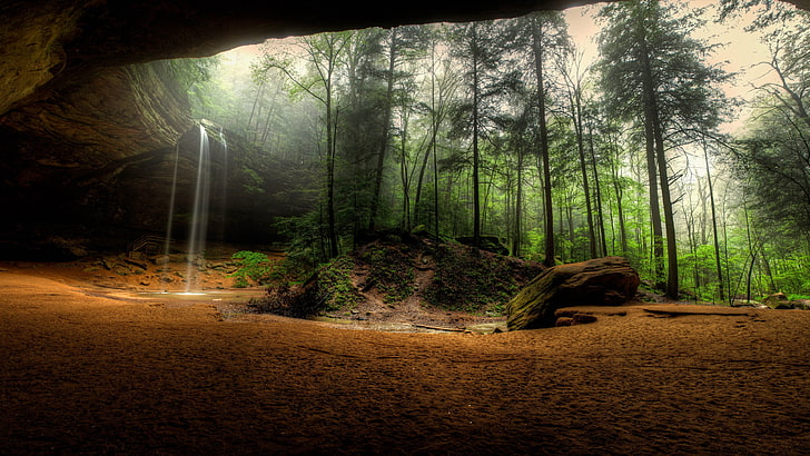 green trees, Ohio, cave, forest, plant, land, woodland, nature, HD wallpaper