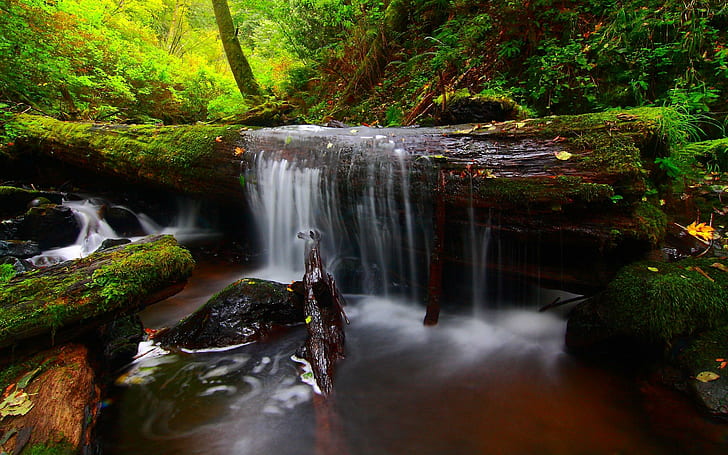 Forest River Timber Waterfall Background Free, waterfalls, HD wallpaper