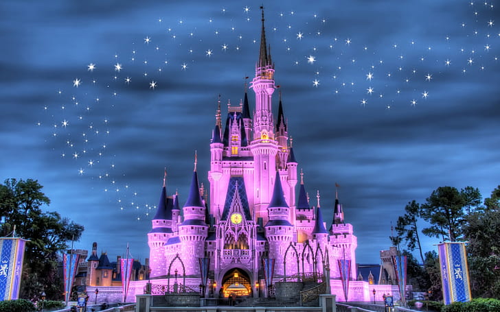 Disneyland, castle, night, lights, stars, purple style, HD wallpaper