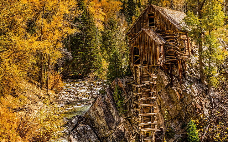brown wooden house, nature, trees, fall, landscape, ladders, hut, HD wallpaper