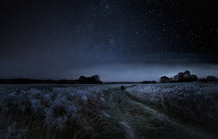 HD wallpaper: walking nature landscape starry night dirt road frost ...