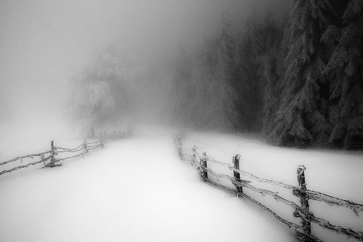 wooden fence, landscape, nature, winter, morning, snow, forest, HD wallpaper