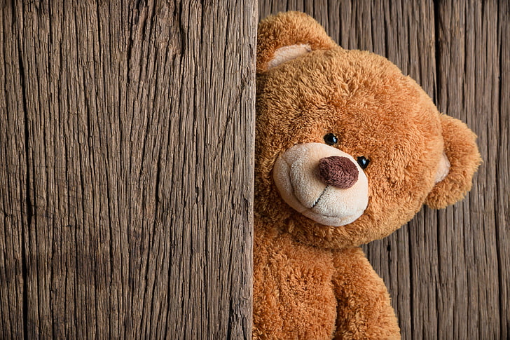 brown bear plush toy, wood, teddy bear, cute, stuffed toy, animal representation