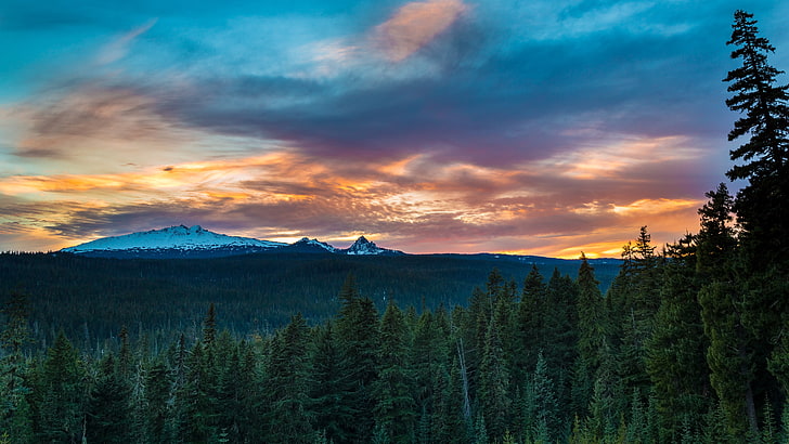 green pine trees, Oregon, landscape, cloud - sky, mountain, sunset