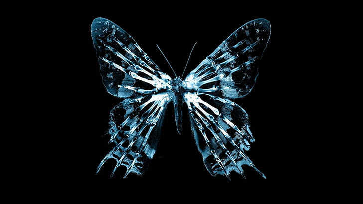 Fringe (TV series), butterflies, black, black background, cyan