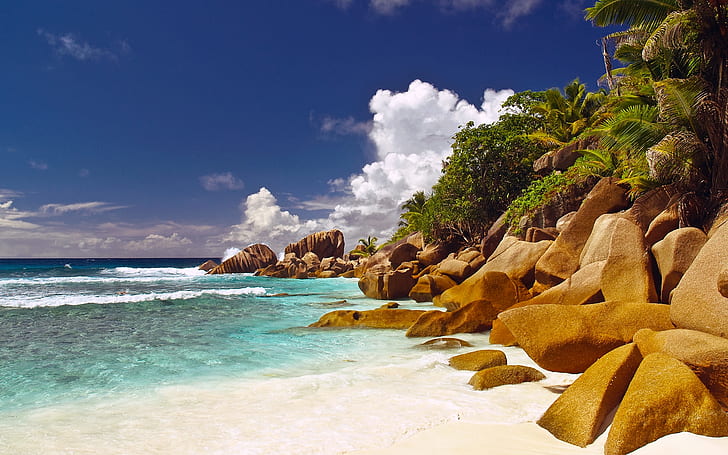 Seychelles Islands Corner, rocks, palm trees, beach, ocean, sea, HD wallpaper