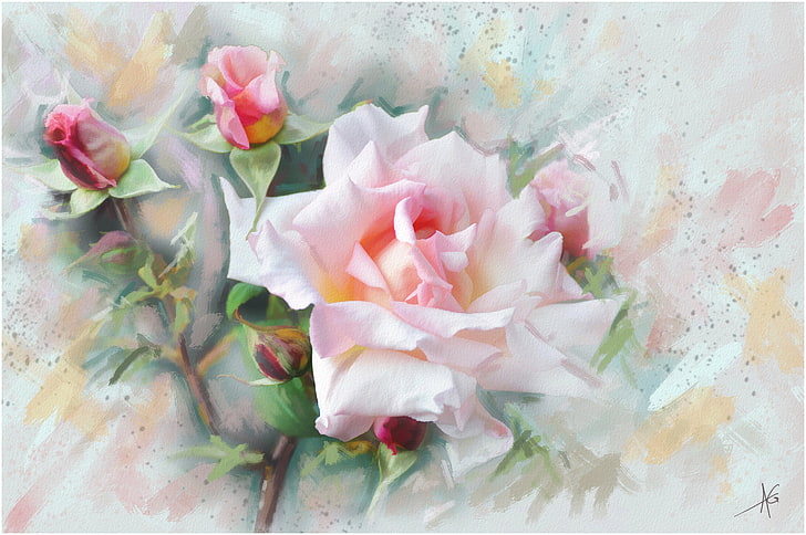 pink flower illustration, flowers, graphics, Rose, painting, gently, HD wallpaper