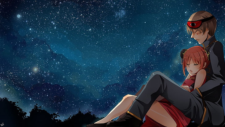 HD wallpaper: couple animated illustration, the sky, girl, stars, night,  anime | Wallpaper Flare
