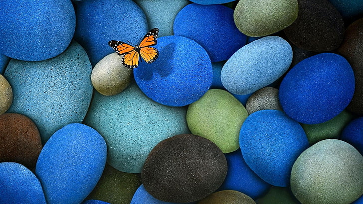 butterfly, stones, blue, no people, insect, animal wildlife, HD wallpaper