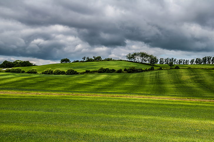 landscape photo of green field under cloudy sky, Dark clouds