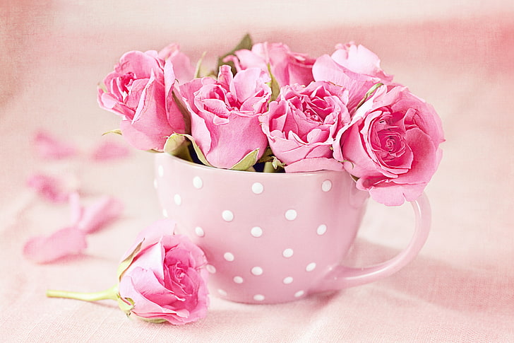 pink roses, photo, Flowers, Cup, pink Color, bouquet, backgrounds, HD wallpaper