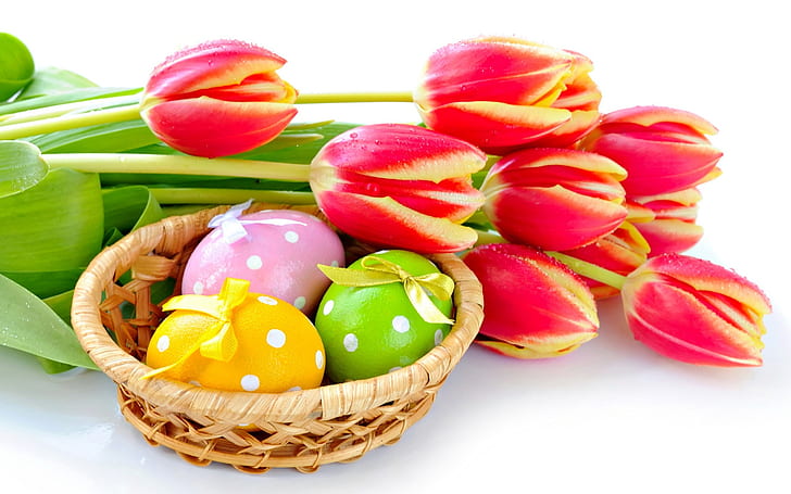 Red tulips flower with Easter eggs, HD wallpaper