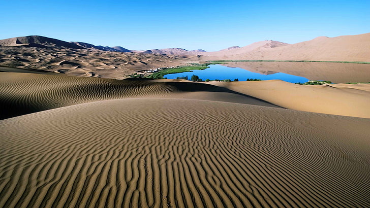 arena, desierto, dunas, lago, naturaleza, HD wallpaper